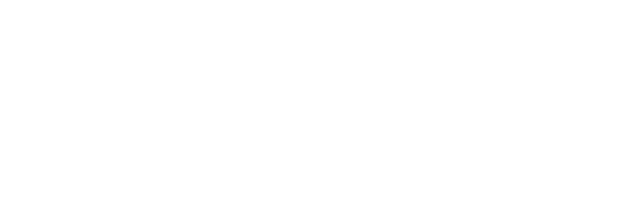 NDP Magazin